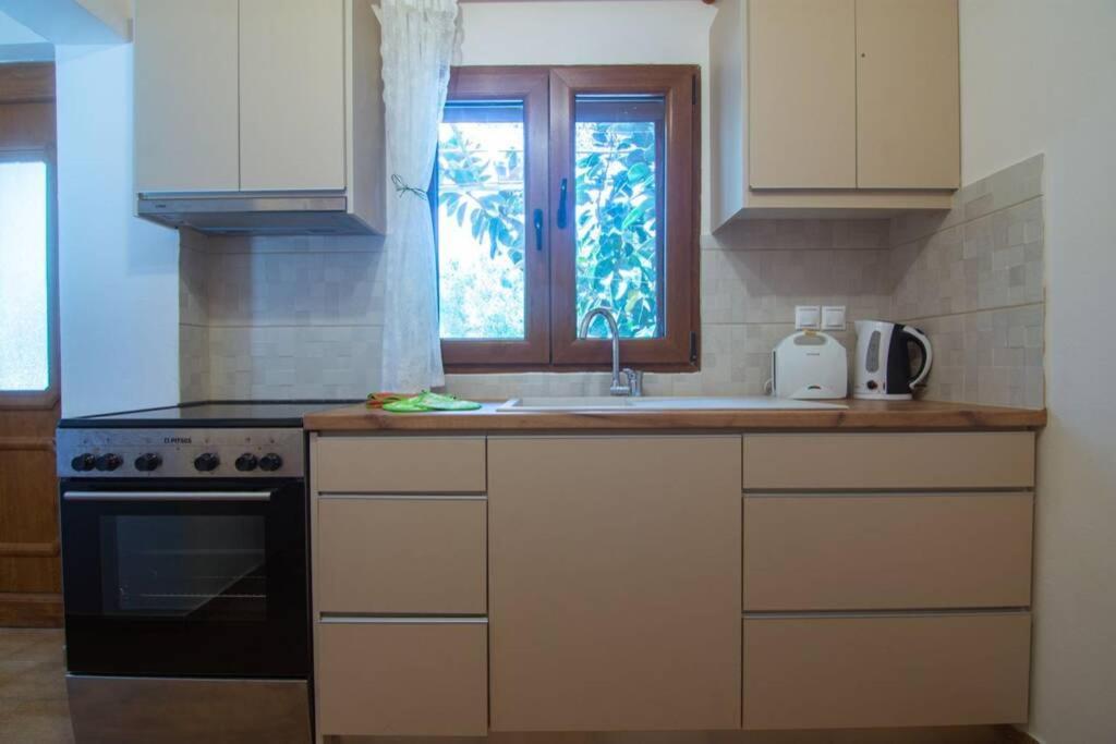 Natsios Thanasakis Apartment Gaios